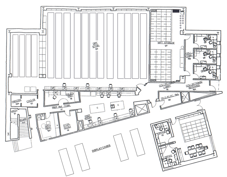 collectionsfacilityfloor2